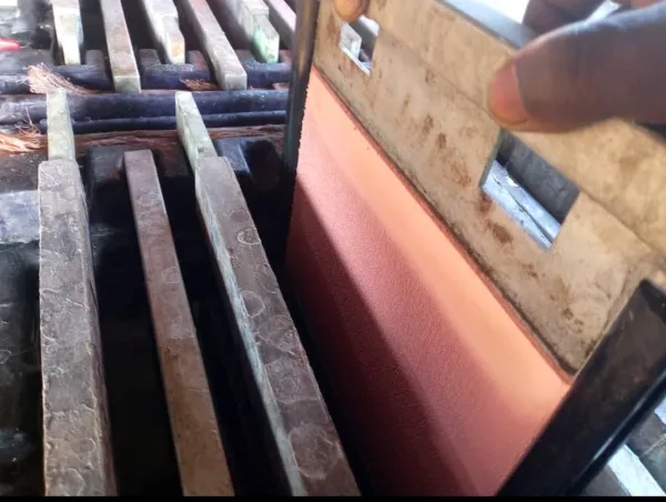 JS SERVICE – Activités terrain